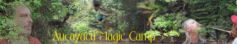 Magic Camp